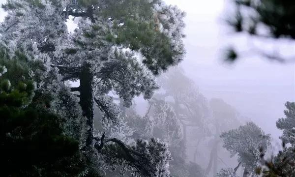 看面向给你第一感觉怎么样？游戏画面